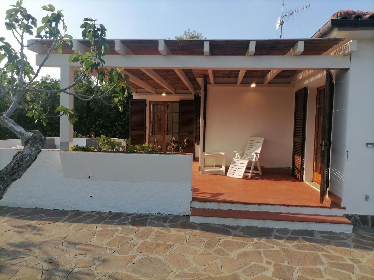 Le Palme Apartment Capoliveri  Exterior photo