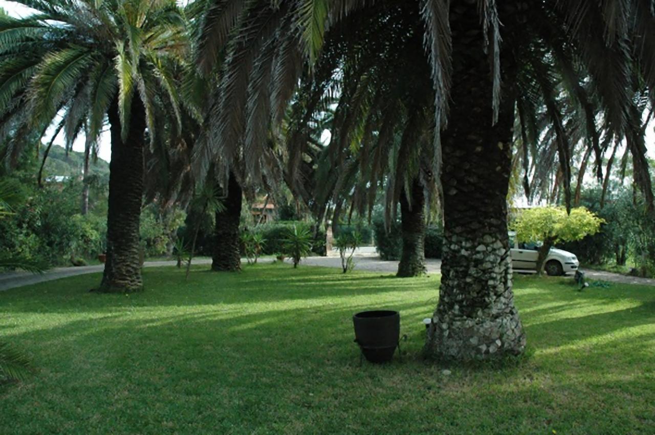 Le Palme Apartment Capoliveri  Exterior photo