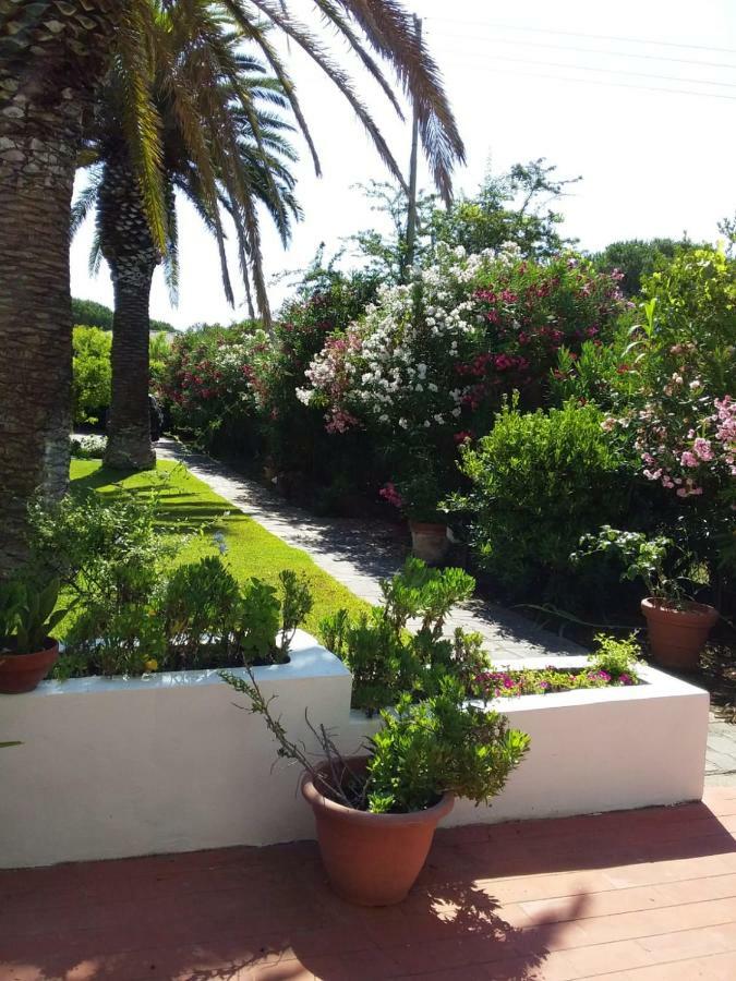 Le Palme Apartment Capoliveri  Exterior photo